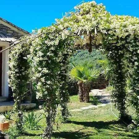 Domaine Colonna-Santini, Gite Piscine, Sauna, Spa Porri Exterior foto