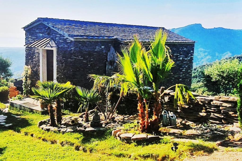 Domaine Colonna-santini, Piscine, Sauna, * Porri