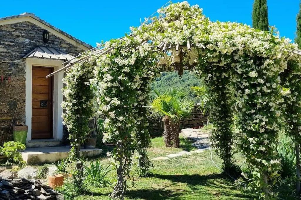 Domaine Colonna-santini, Piscine, Sauna, *