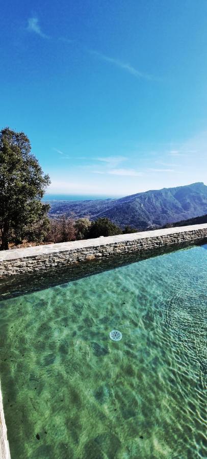 Domaine Colonna-santini, Piscine, Sauna, * Porri