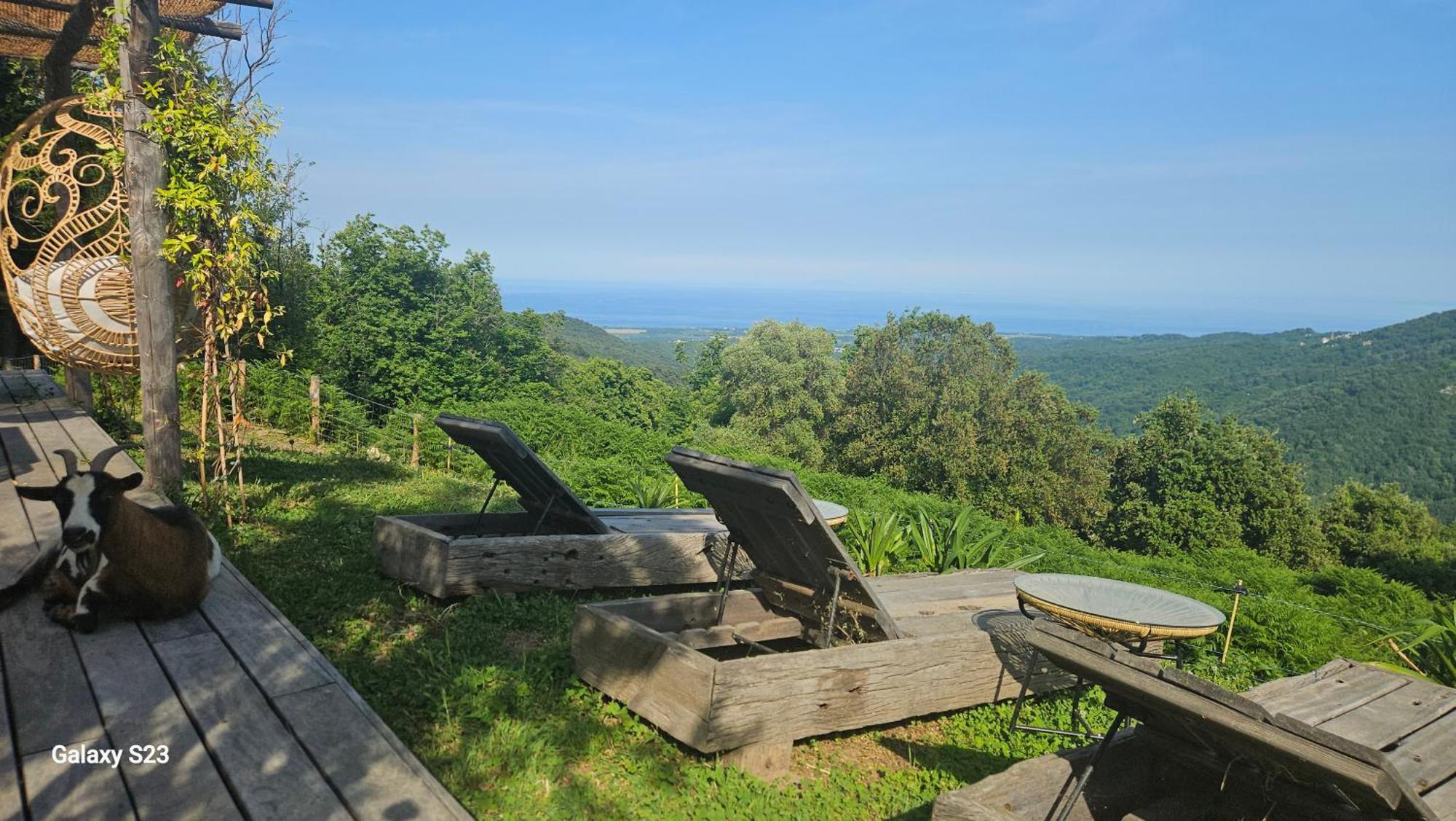 Domaine Colonna-santini, Piscine, Sauna, * Porri